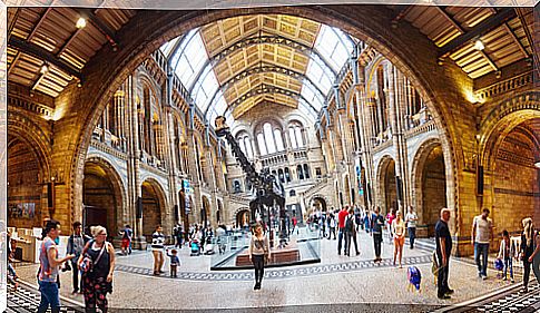 5 best natural history museums