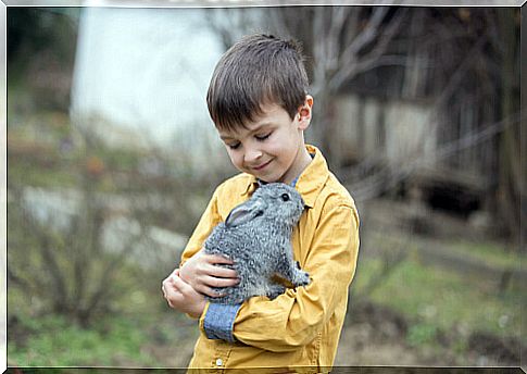 5 tips to help children who fear animals