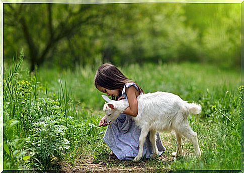 Girl and goat