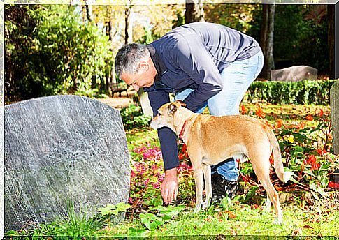 A dog lives in its owner's grave and refuses to leave