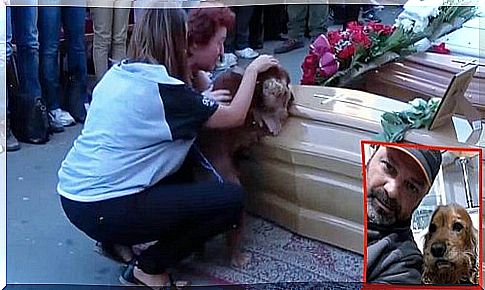 A dog refuses to leave the coffin of his master, victim of the earthquake in Italy