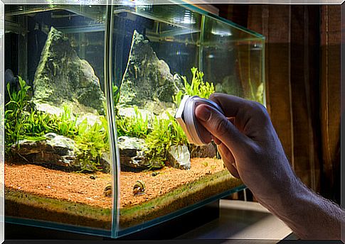 Accessories for your aquarium