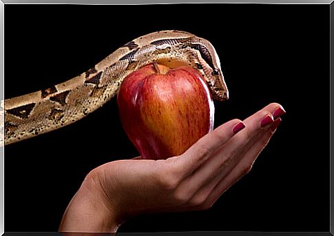 Representation of the snake and the apple of Adam and Eve