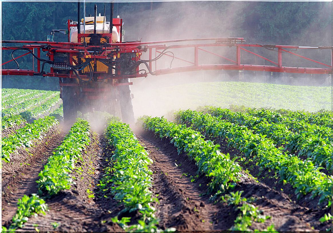 A pesticide tractor spraying a crop.