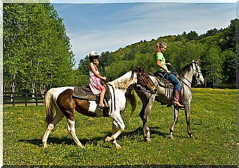 equine therapy