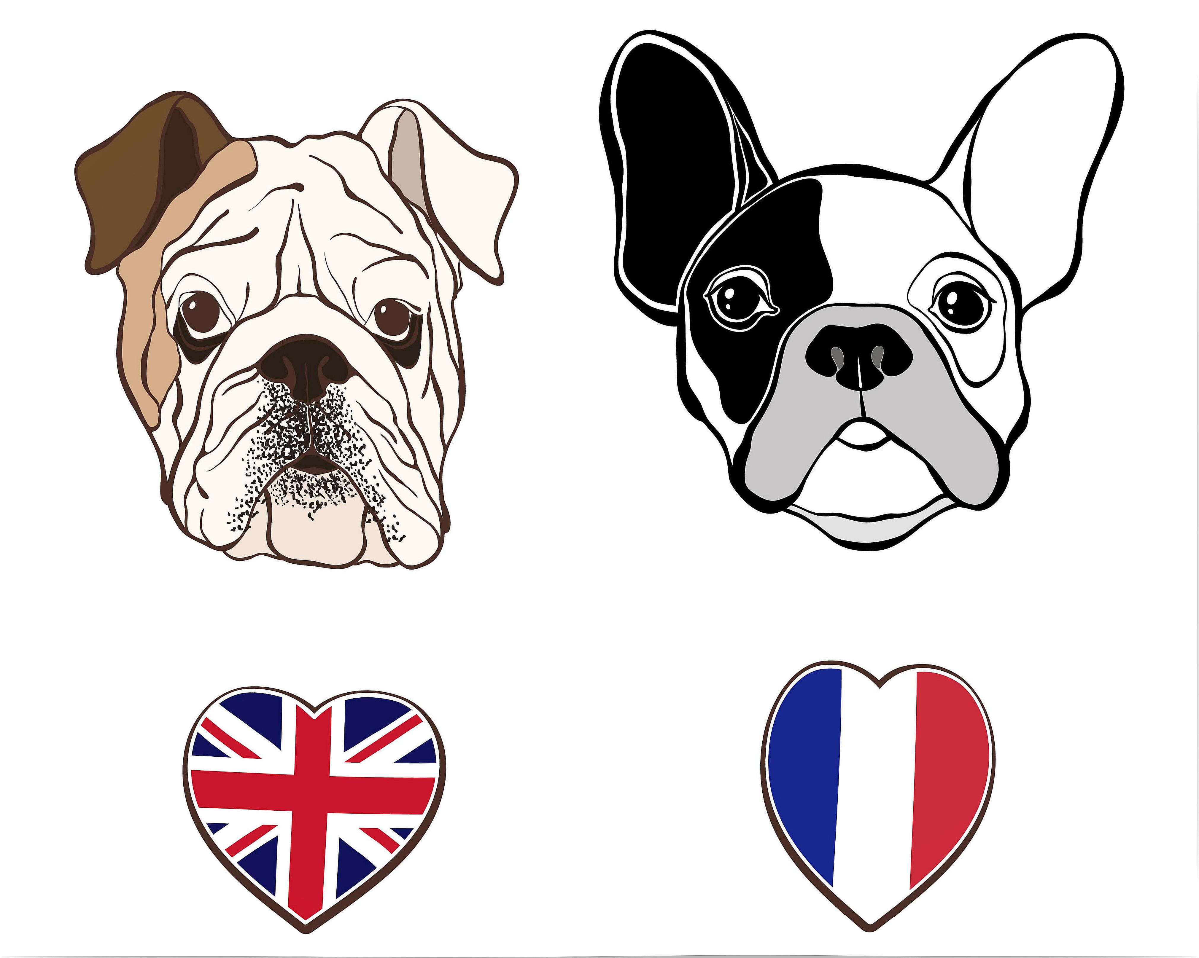 English and French bulldog: differences