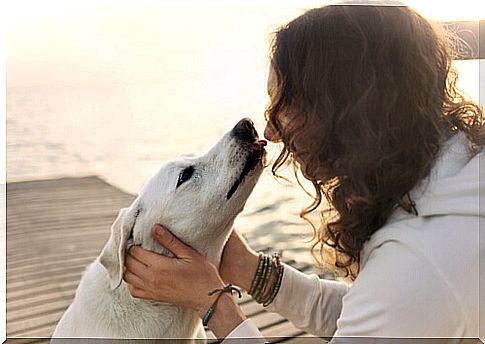 infections from kissing dogs