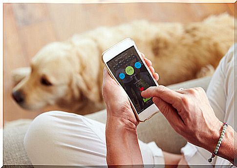 apps-for-you-and-your-dog