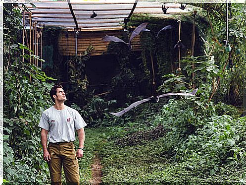 Henry Cavill en la Durrell Wildlife Conservation Trust.