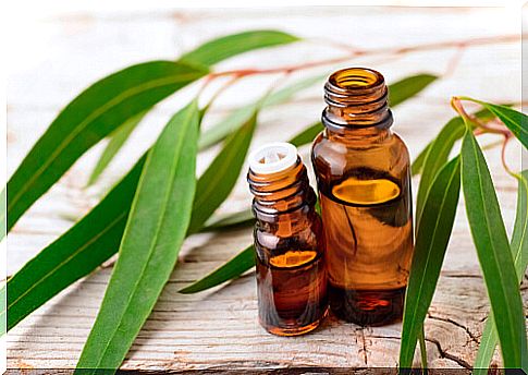 Vinegar and eucalyptus repellent