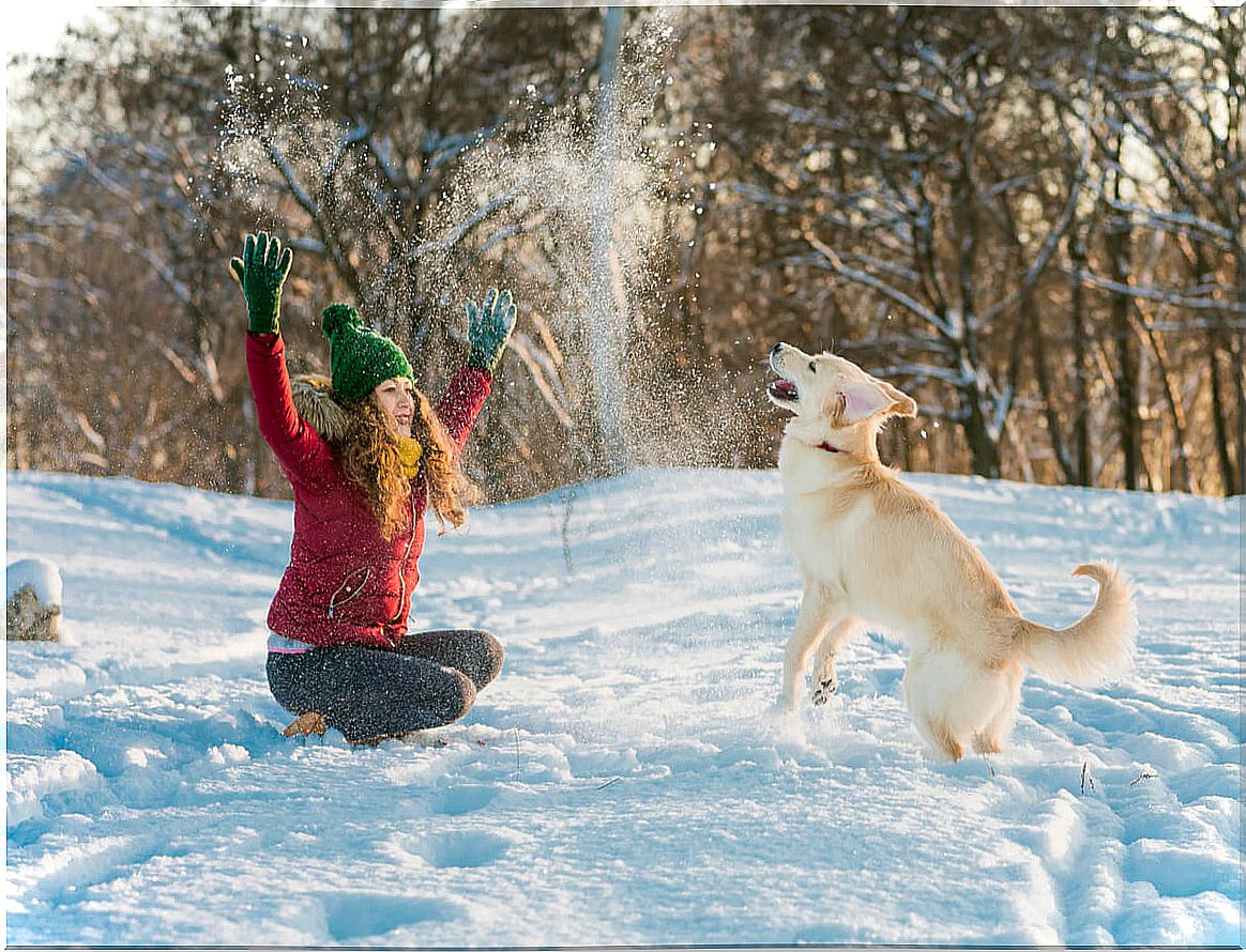 How to walk with a dog in the snow?