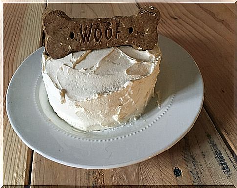 Homemade cakes for dogs