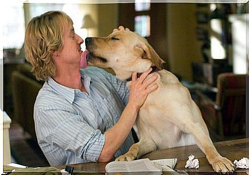 The 5 best movies about dogs