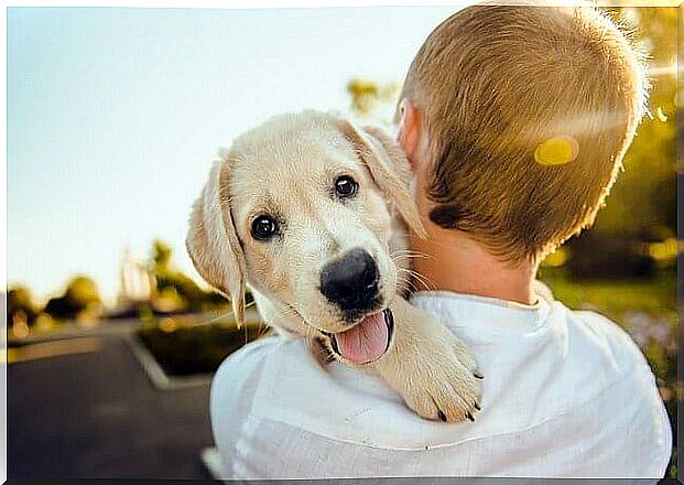 The 5 most affectionate pets