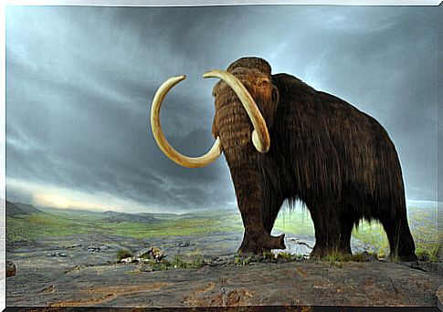 Extinction of the mammoths