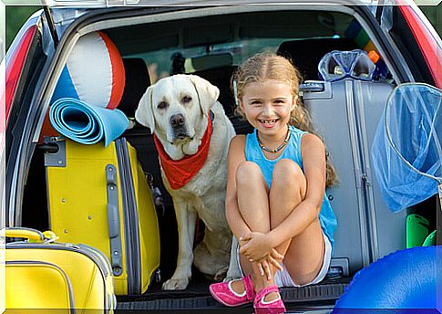 Labrador retriever socialization