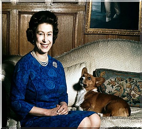 The Life of Queen Elizabeth II's Dogs