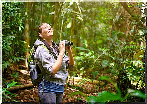 Tips for bird watching