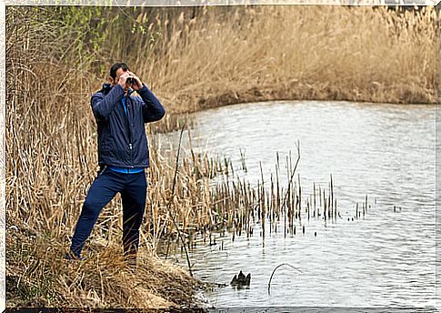 Bird watching with binoculars