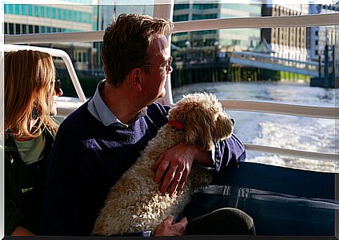 Dogs can travel by boat