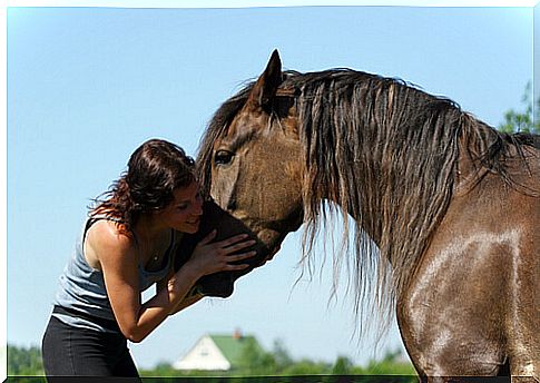 Horse and person