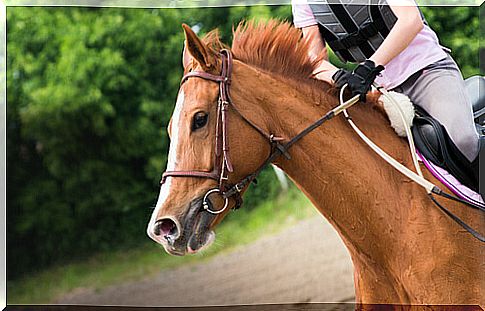 To ride a horse