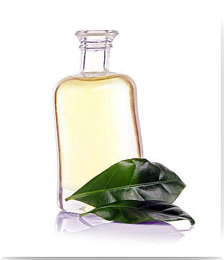 Why Restrict Tea Tree Oil in Pets